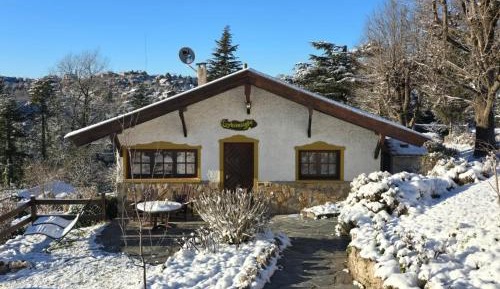 Two-Bedroom Bungalow
