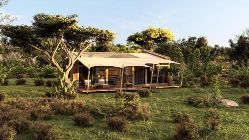 Deluxe Tent with All-Inclusive Safari Experience