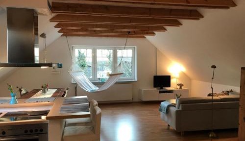 One-Bedroom Apartment with Shower