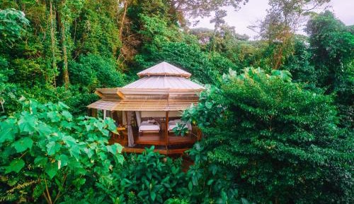 Rainforest Queen Bungalow