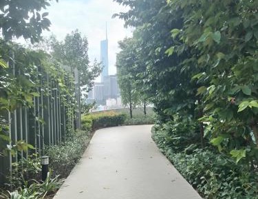 Superior Family Room