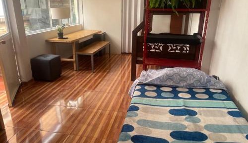 Bunk Bed in Mixed Dormitory Room