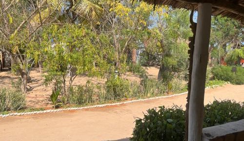 Family Room with Garden View