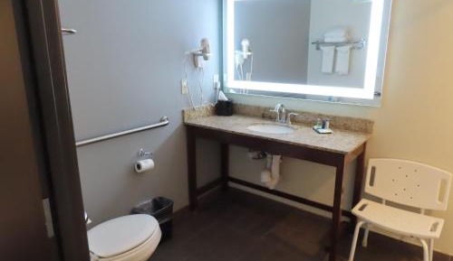 King Suite with Roll-In Shower - Accessible/Non-Smoking