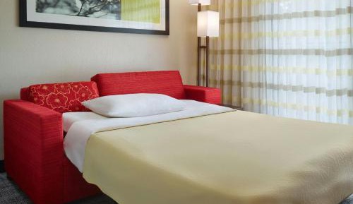 One-Bedroom King Suite with Sofa Bed 