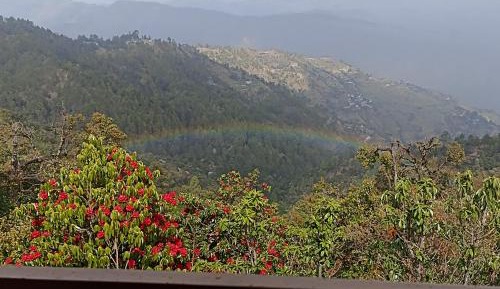 Single Room with Mountain View