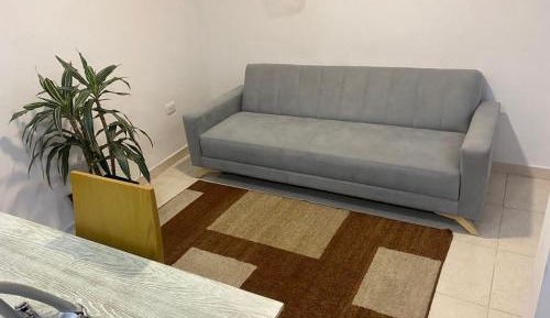 One-Bedroom Family Apartment