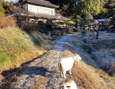 Family Room with Garden View