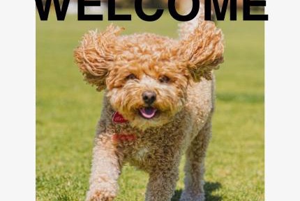 Queen Room with Balcony