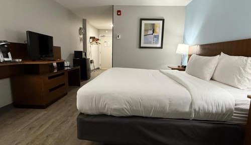 King Room with Roll-In Shower - Disability Access