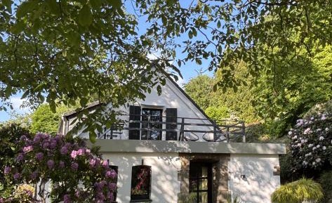 One-Bedroom Apartment with View