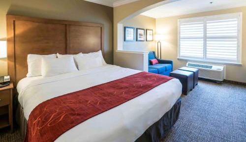 King Suite