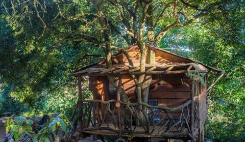 Holiday Home