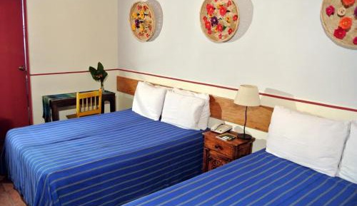 Superior Double with Garden View