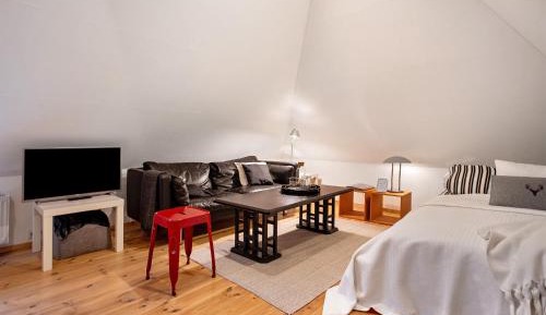 Superior One-Bedroom Apartment