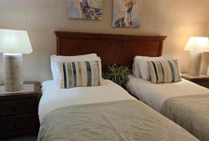 Budget Twin Room