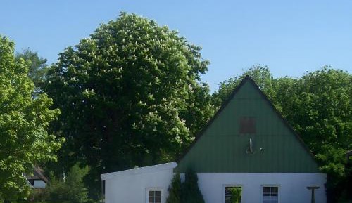 Two-Bedroom Studio Apartment