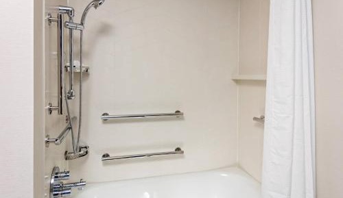 One-Bedroom Queen Suite with Sofa Bed and Lake View - Hearing Accessible