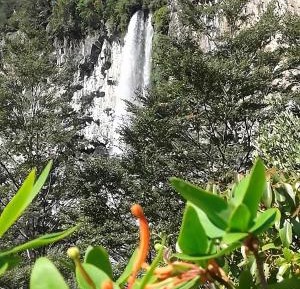 Three-Bedroom Chalet