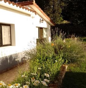 Premium Quadruple Room