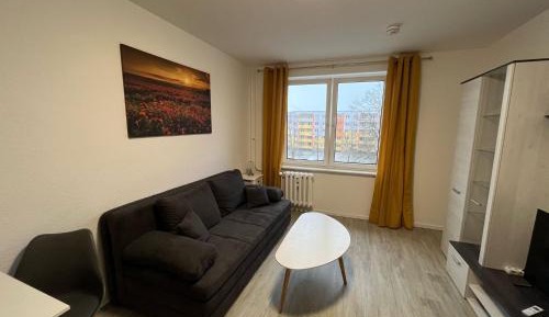 Studio with Sofa Bed