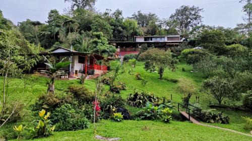Double Room with Pool View