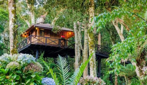 Triple Room with Garden View