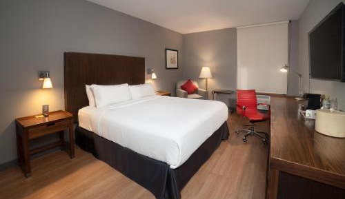 Deluxe King Guest Room, Guest room, 1 King