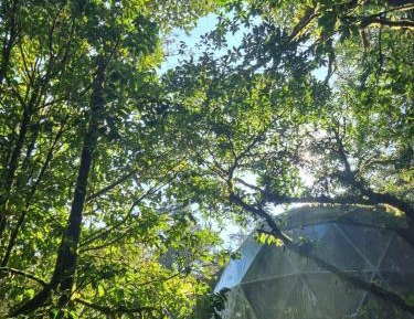 Twin Room with Mountain View