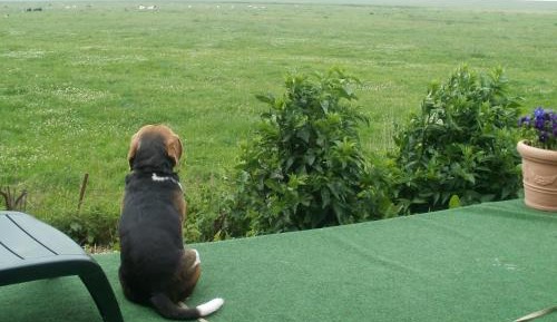 Apartment with Terrace