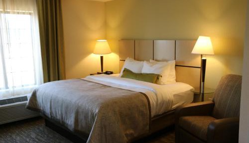 Queen Studio Suite - Disability Access Hearing Accessible Roll-in Shower