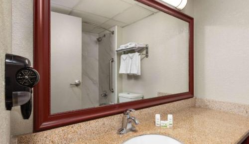 King Room with Roll-In Shower - Disability Access