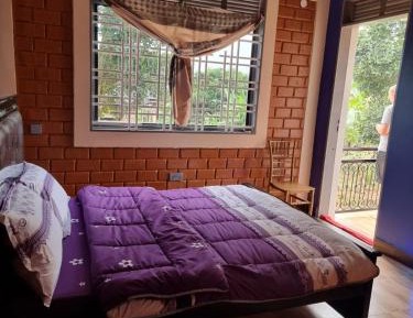 Double Room with Patio