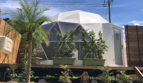 Standard Double Room with Two Double Beds