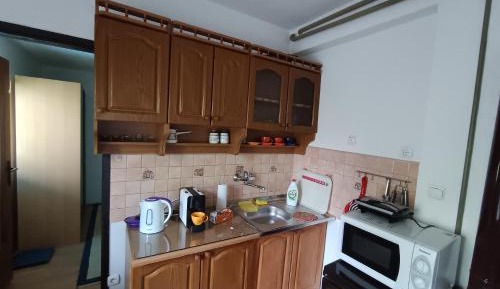 One-Bedroom Apartment with Garden