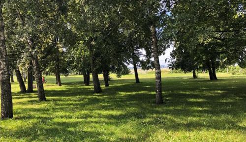 One-Bedroom Superior Apartment