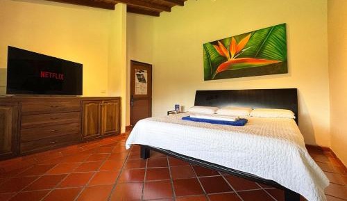 Double Room with Mountain View