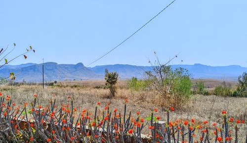 Double Room with Mountain View