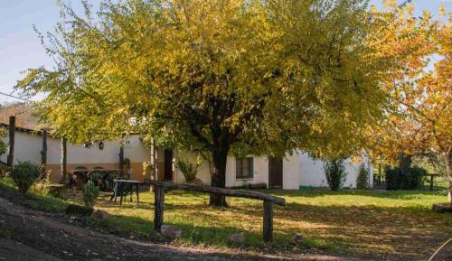 Three-Bedroom Superior Apartment