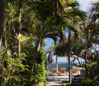 Superior Tropical Garden View Room