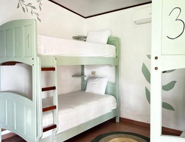 Bunk Bed in Mixed Dormitory Room