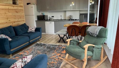 Apartment with Mountain View