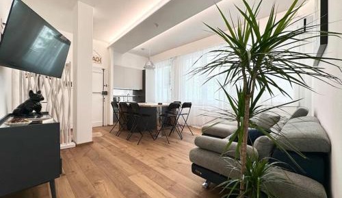 Three-Bedroom Superior Apartment
