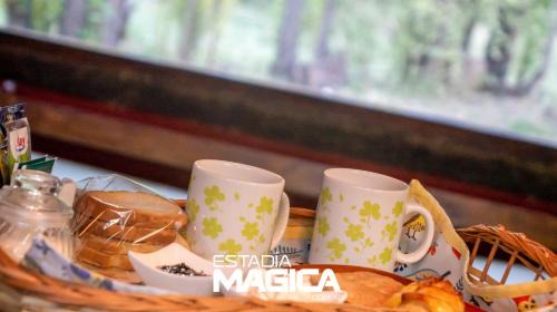 Studio with Garden View