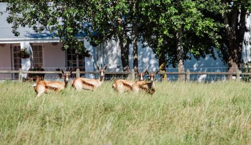 Three-Bedroom Holiday Home - Boulders Cottage
