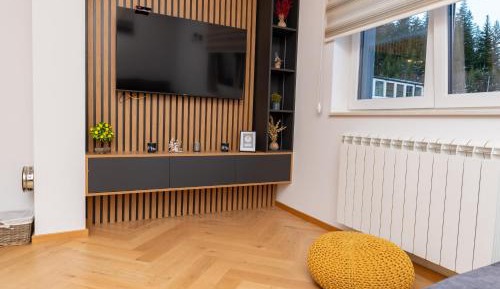 Apartment with Mountain View