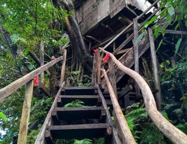 Deluxe Double or Twin Room with Balcony