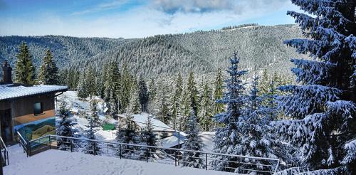 Apartment with Mountain View
