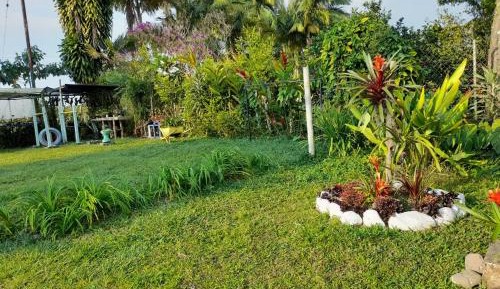 Double Room with Park View