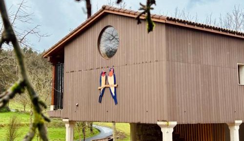 Deluxe Suite with Spa Bath